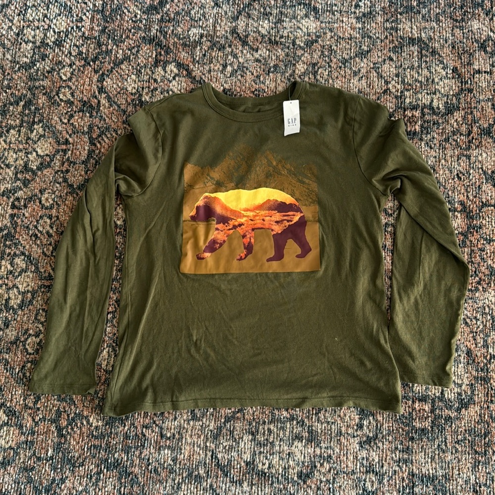 Boys Gap NWT L/S T-shirt